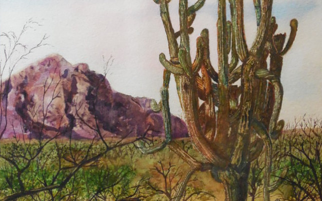 Watercolor Landscape Saguaro Cactus Arizona Melanie Walters