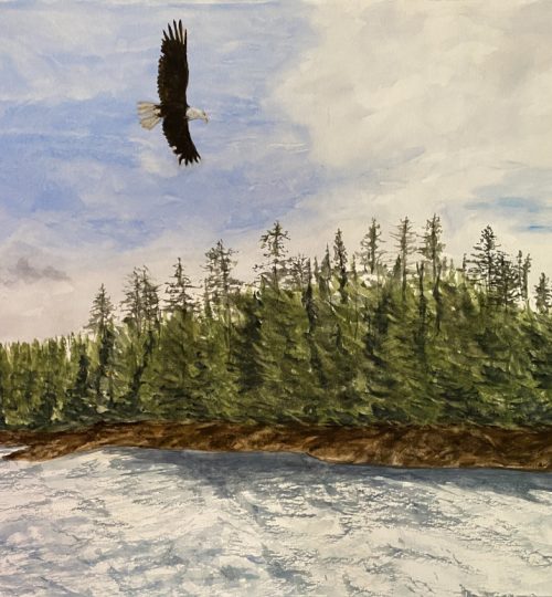Landscapes Watercolor Artist Melanie Walters Alaska Annette Island Indian Reservation