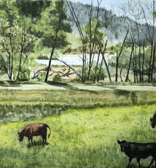 Watercolor Artist Cow Bear River California Melanie Walters