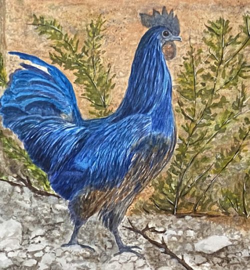 Melanie Walters Watercolor Artist Rooster Feathers Blue Fine Art