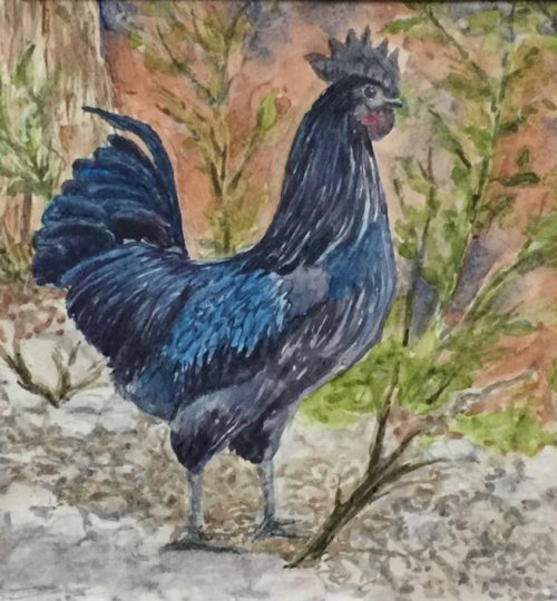 Watercolor Artist Blue Rooster Melanie Walters