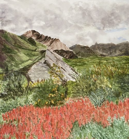 Landscapes Alaska Watercolor Artist Melanie Walters Denali National Park Denali Fire Weed