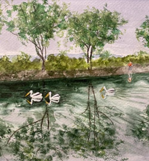 Melanie Walters Watercolor Artist Fishing Pond Minden Nevada Landscape Pelicans