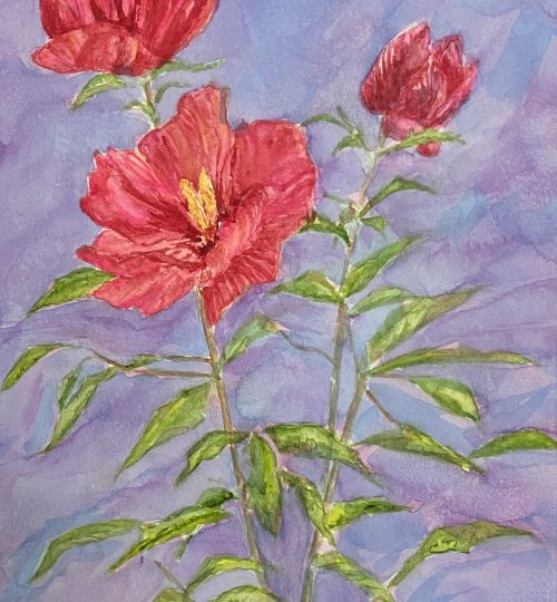 Watercolor Artist Hibiscus Flower Melanie Walters