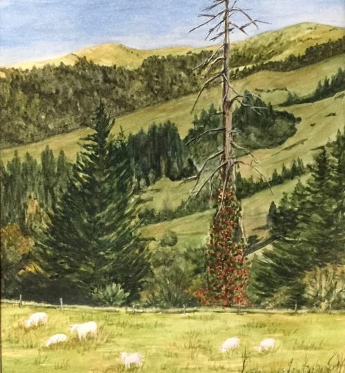 Watercolor Artist Snag Poison Oak Bear River California Melanie Walters